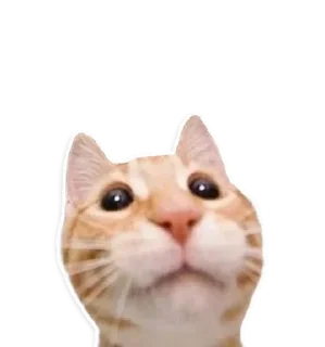 😳