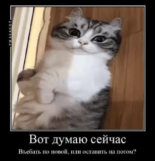 🧐