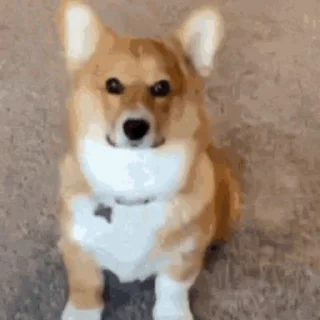 😉