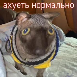 😨