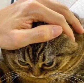 😠