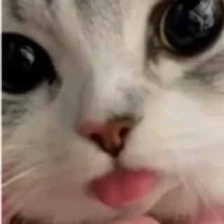 😛