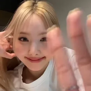 🐰