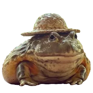 🐸