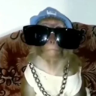 😎