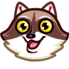 Bandit Raccoon