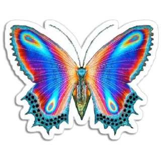 🦋