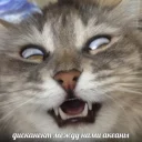 😵