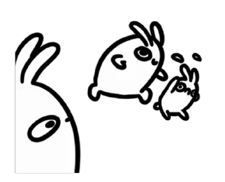 🐰