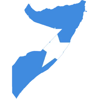 🇸🇴
