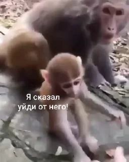 🤩