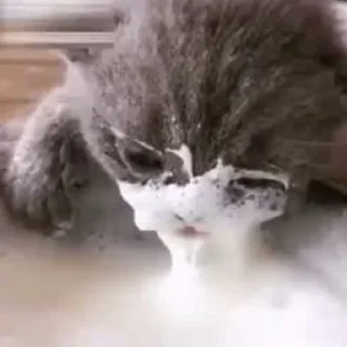 🙂