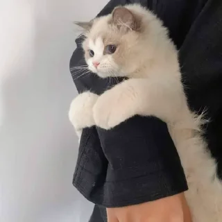 🥰