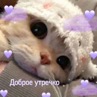💜