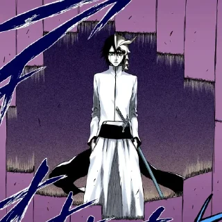 👤