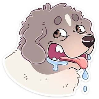 🐶