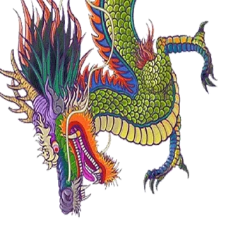 🐲