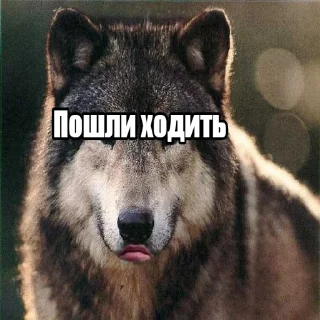🏃‍♂️
