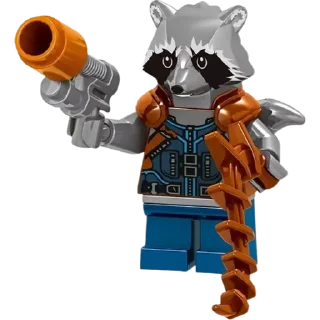 🦝