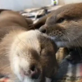 😚