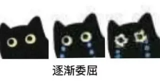 🐱