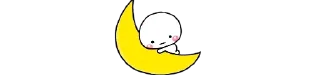 🌙