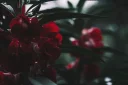 💕