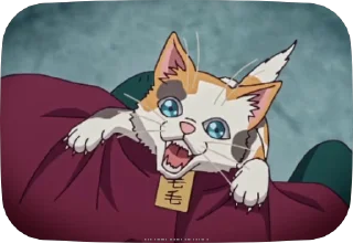 🐱