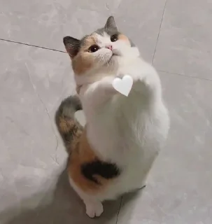 ❤️