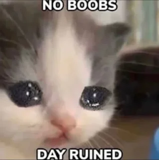 😭