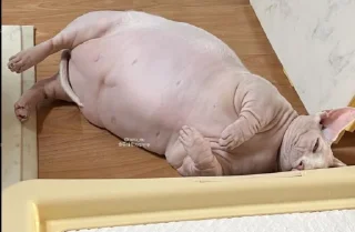 😔