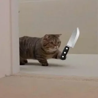 🔪