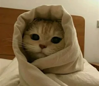 ☺️