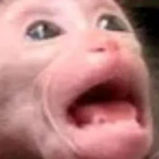 😨