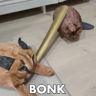 🏏