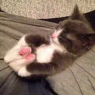 😴