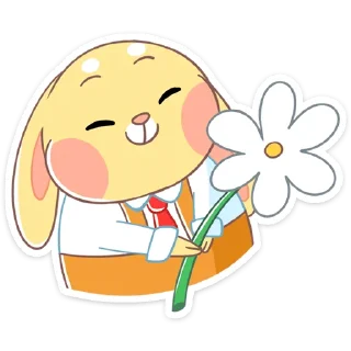 🌼