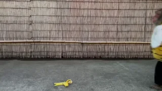 🍌
