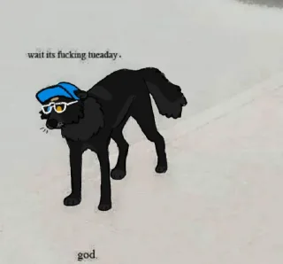 🧢