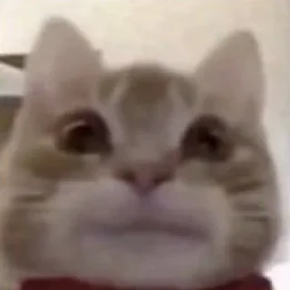 🙂