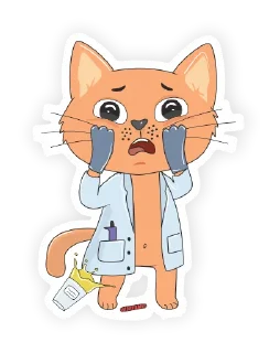 🙀