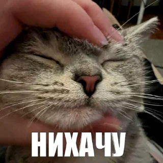 😨