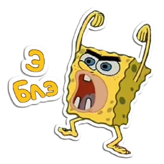 🧽