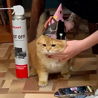 🥳