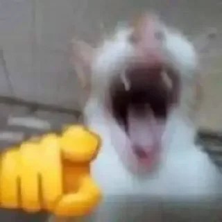 😅