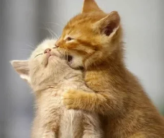 😙