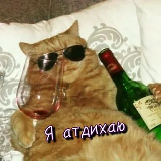 😎