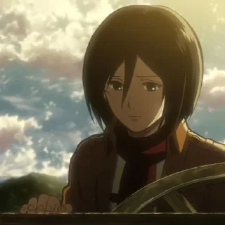 🧣