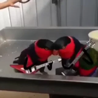 🎵