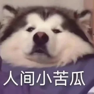 😭